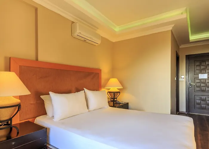 Hotel Manaspark Deluxe 4*