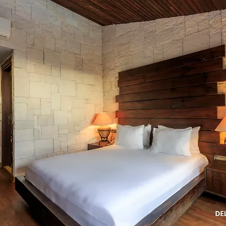 Manaspark Deluxe 4*