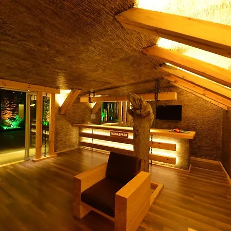 Manaspark Deluxe Отель 4*