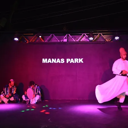 ホテル Manaspark Deluxe