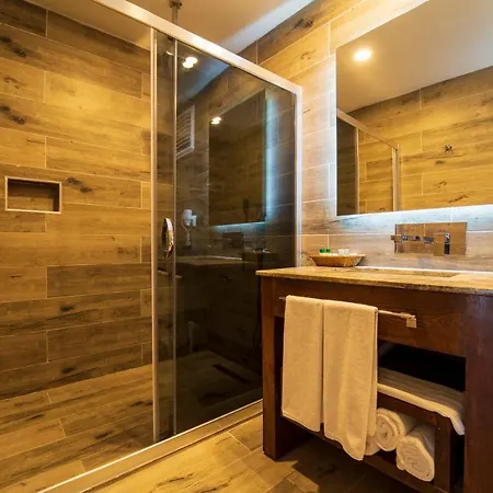 Manaspark Deluxe 4*